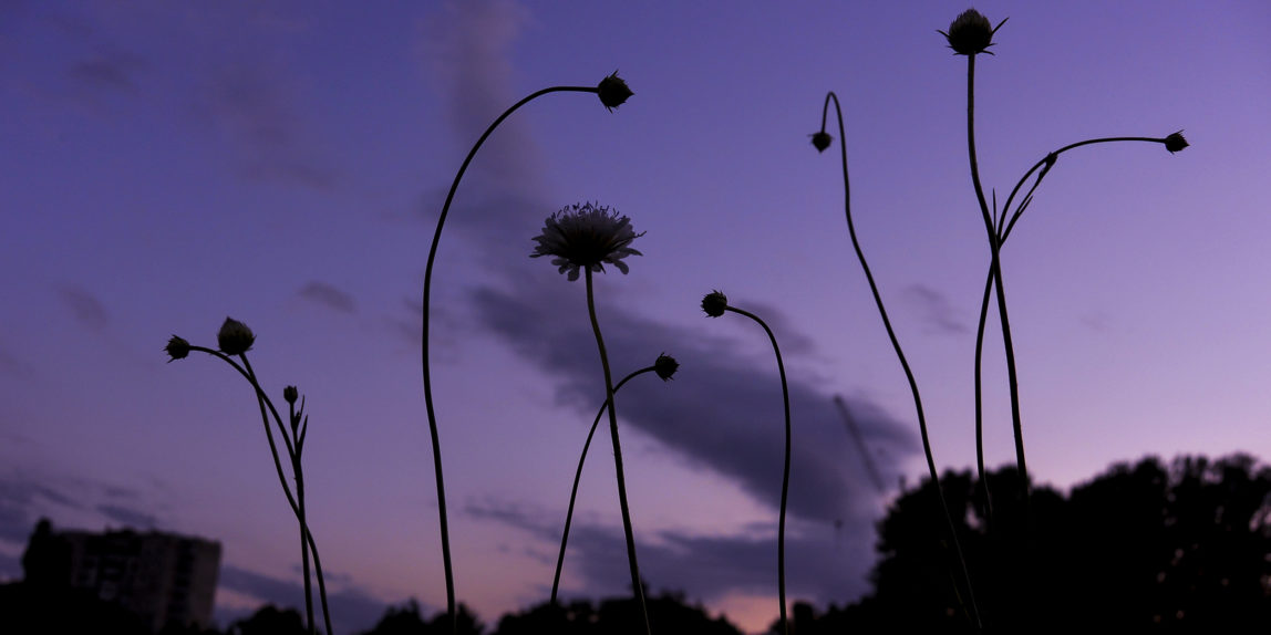 теплый вечер