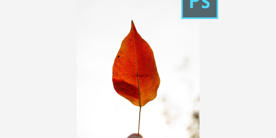 Gif-анимация в Photoshop