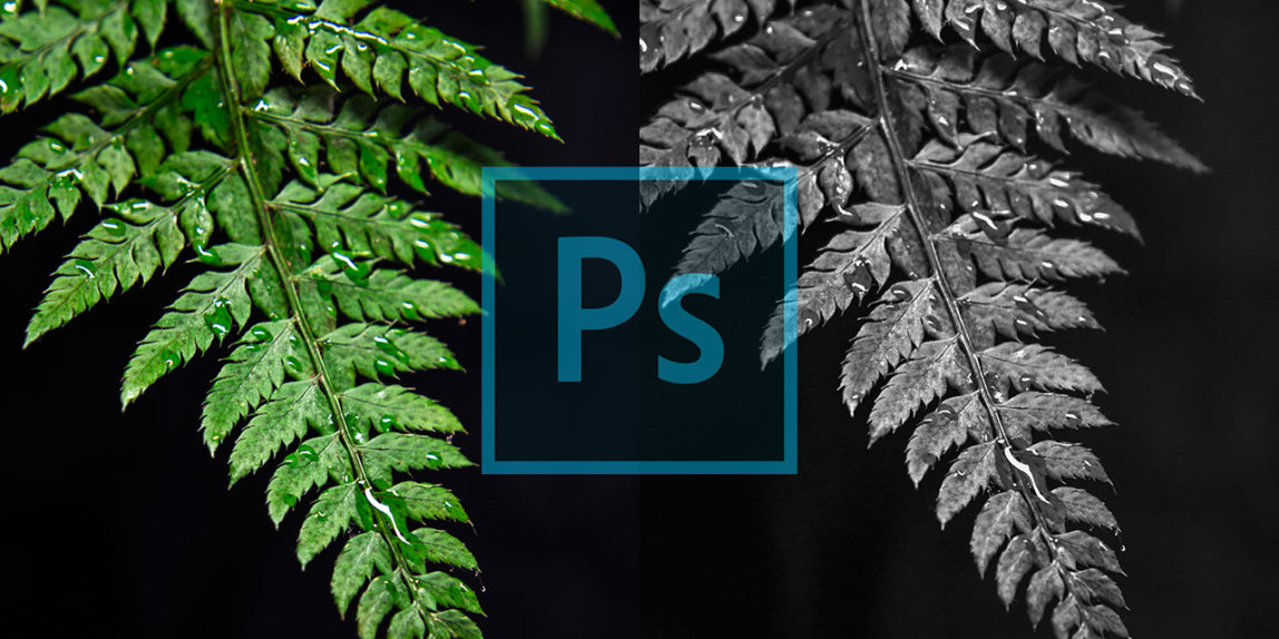 How to Convert to Black & White in Photoshop